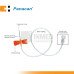 Panacan Scalp Vein (Box of 100s)