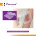 Panapore Paraffin Gauze Dressing 10x10cm (Box of 50s)